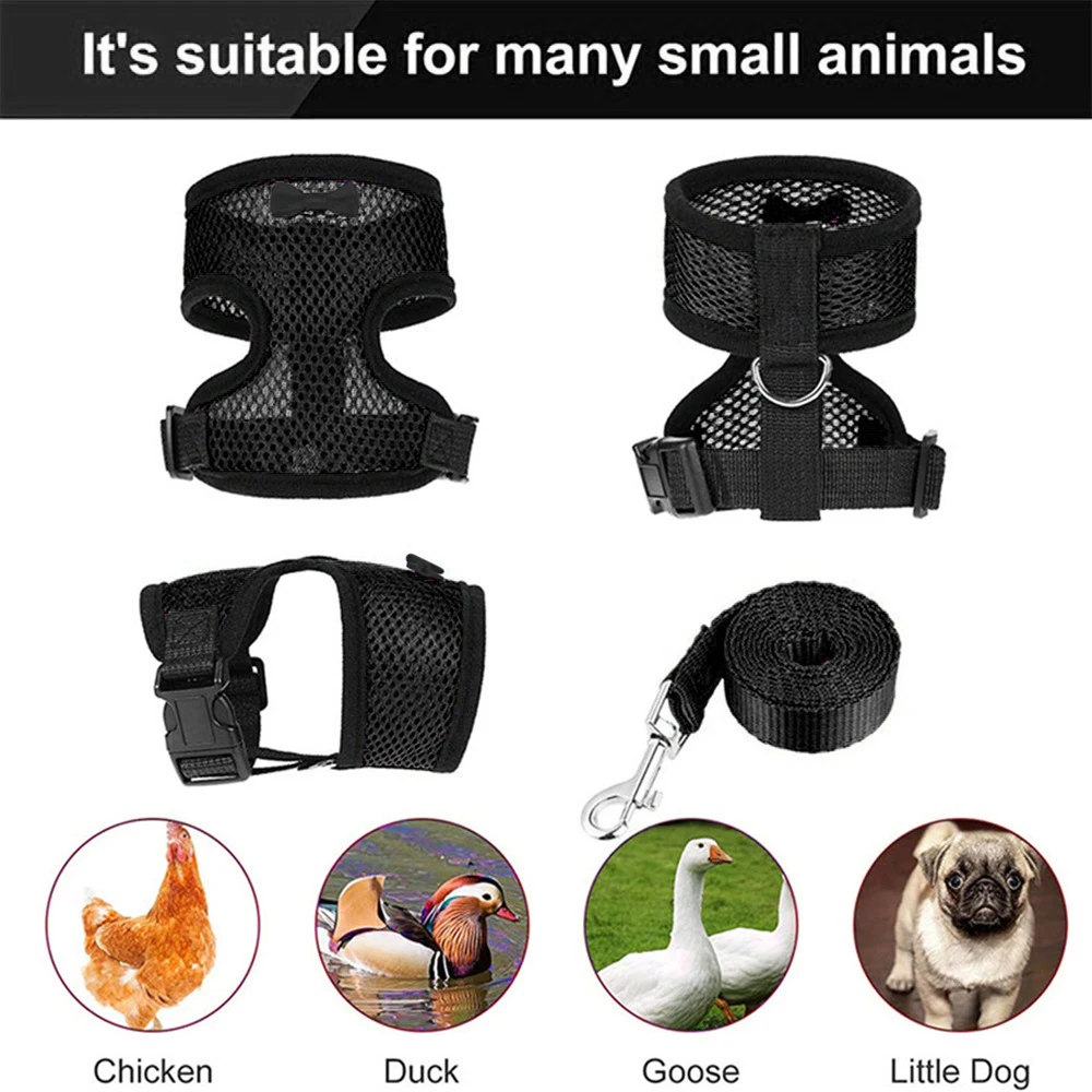 Small Dog Harness No Pet Traction Belt Ducklings Pet Chicken Traction Breathable Rope Vest Training Walking Pet Supplies
Small Dog Harness No Pet Traction Belt Ducklings Pet Chicken Traction Breathable Rope Vest Training Walking Pet Supplies