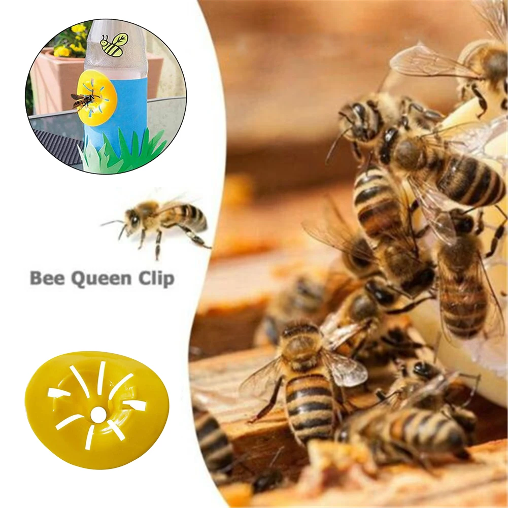 10 bee traps / suite house killer flower-shaped garden mini fly funnel practical reusable outdoor wasp trap tool
10 bee traps / suite house killer flower-shaped garden mini fly funnel practical reusable outdoor wasp trap tool