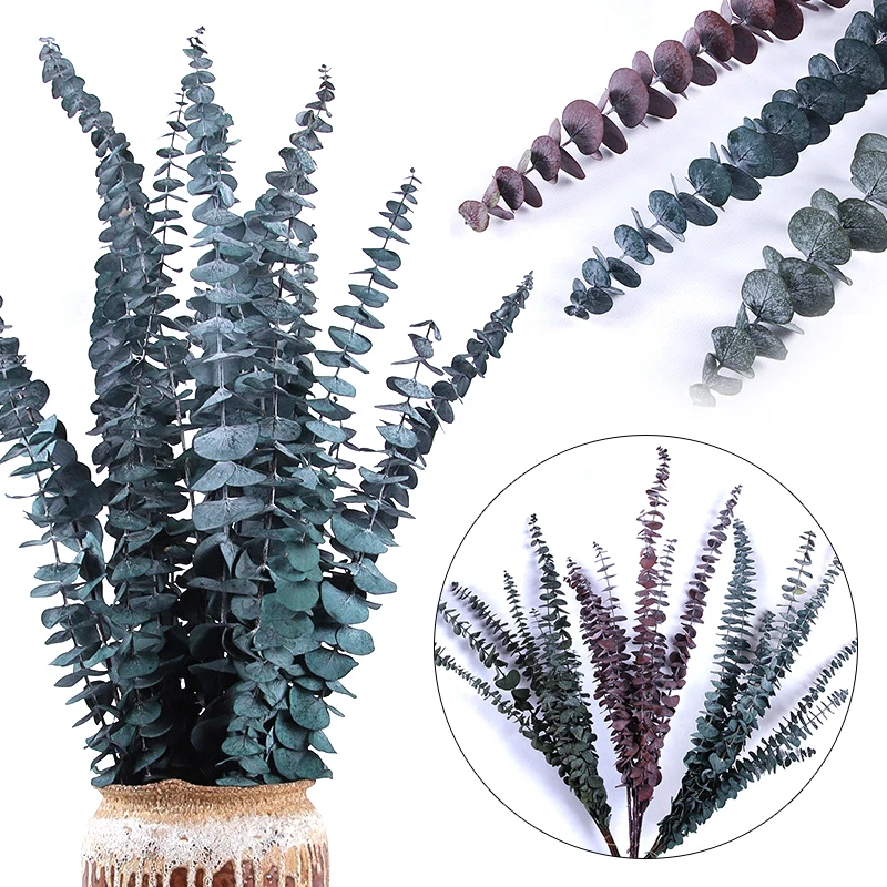 10pcs Eucalyptus Leaves Dried Flowers Eternal Flowers Flower Arrangement Wedding Party Bouquets Home Decoration Supplies
10pcs Eucalyptus Leaves Dried Flowers Eternal Flowers Flower Arrangement Wedding Party Bouquets Home Decoration Supplies