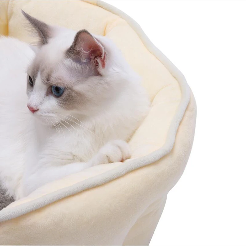 Washable Pet Small Cat Bed Cute Cat Nest Soft Warm Round Cat Cushion Home Dog Cat Mat Cat Beds House Pet Bed Drop Shipping
Washable Pet Small Cat Bed Cute Cat Nest Soft Warm Round Cat Cushion Home Dog Cat Mat Cat Beds House Pet Bed Drop Shipping