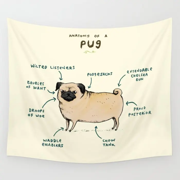 Anatomy Of A Pug Tapestry Wall Hanging Hippie Tapestries Rugs Home Living Room Dorm Decoration Tablecloths Blanket
Anatomy Of A Pug Tapestry Wall Hanging Hippie Tapestries Rugs Home Living Room Dorm Decoration Tablecloths Blanket