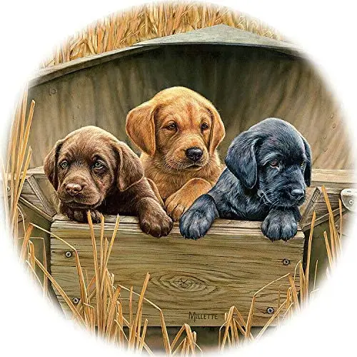 All Hands on Deck - Puppies 12'' x 12'' Round Sign Metal Tin Sign Novetly Funny Home Decor Waterproof and Rustproof
All Hands on Deck - Puppies 12'' x 12'' Round Sign Metal Tin Sign Novetly Funny Home Decor Waterproof and Rustproof