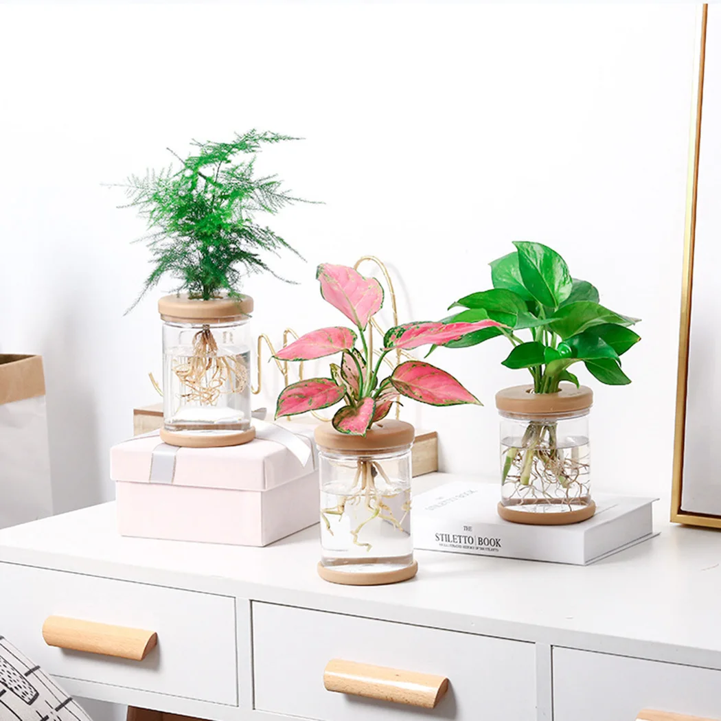 2PCS Clear Hydroponic Flower Pot Planter Water-saving And Drought-resistant For Grow Small Potted Plants
2PCS Clear Hydroponic Flower Pot Planter Water-saving And Drought-resistant For Grow Small Potted Plants
