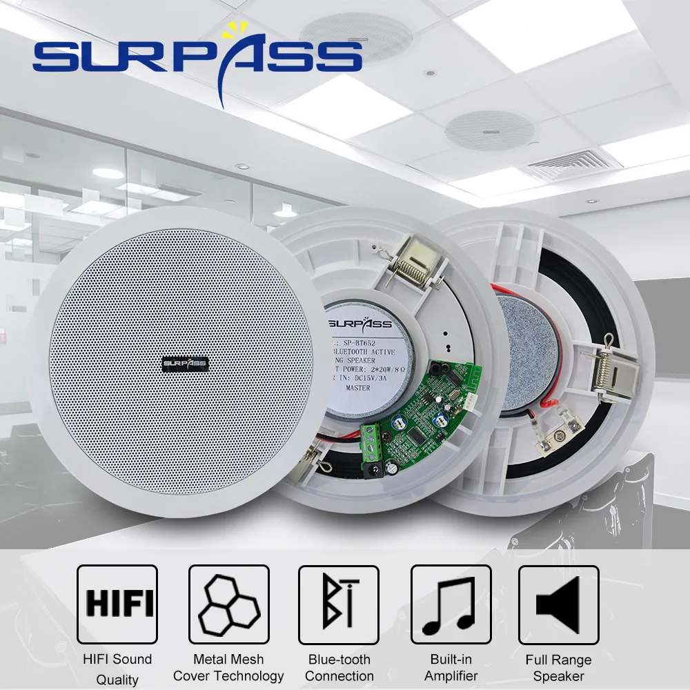 Home Smart Bluetooth Speaker Built-in Class D Efficiency In Ceiling Speaker High Fidelity Digital Power Amplifier Loudspeaker
Home Smart Bluetooth Speaker Built-in Class D Efficiency In Ceiling Speaker High Fidelity Digital Power Amplifier Loudspeaker