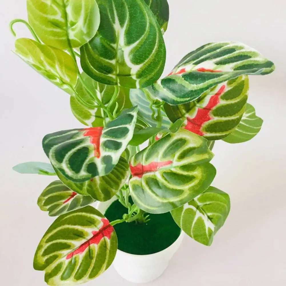 Artificial Potted Plant Close Reality Artificial Bonsai Desktop Decor Green Plant for Home Office Display Ornaments Landscape
Artificial Potted Plant Close Reality Artificial Bonsai Desktop Decor Green Plant for Home Office Display Ornaments Landscape