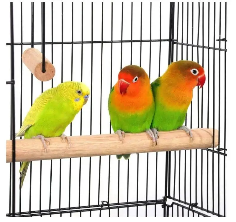 Assembled Wire Birdcage With Frame With 4 CastersWithout Toymetal Wire Welding Anti-rust Anti-aging For Domestic Birds HWC
Assembled Wire Birdcage With Frame With 4 CastersWithout Toymetal Wire Welding Anti-rust Anti-aging For Domestic Birds HWC