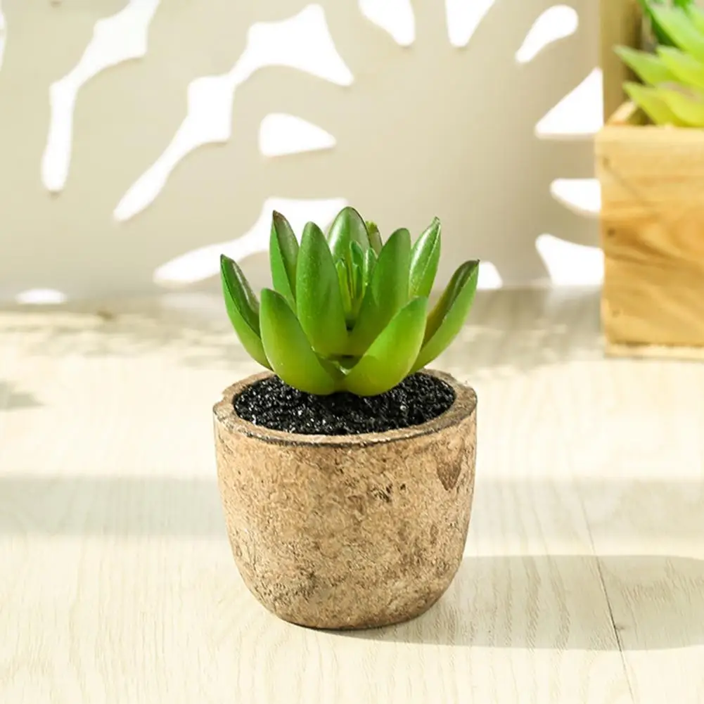 Ornamental Multi Styles Green Decorative Succulent Artificial Plant for BALCONY
Ornamental Multi Styles Green Decorative Succulent Artificial Plant for BALCONY