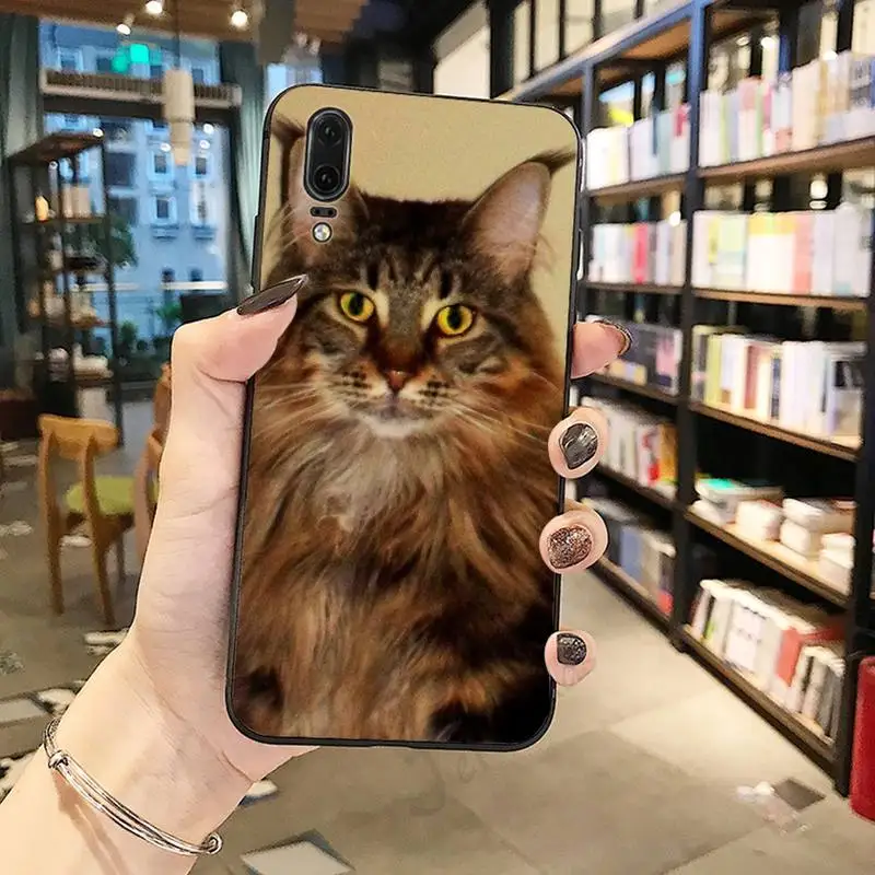 maine coon cat cute pet Phone Case For Huawei honor Mate P 10 20 30 40 i 9 8 pro x Lite smart 2019 nova 5t customcover
maine coon cat cute pet Phone Case For Huawei honor Mate P 10 20 30 40 i 9 8 pro x Lite smart 2019 nova 5t customcover