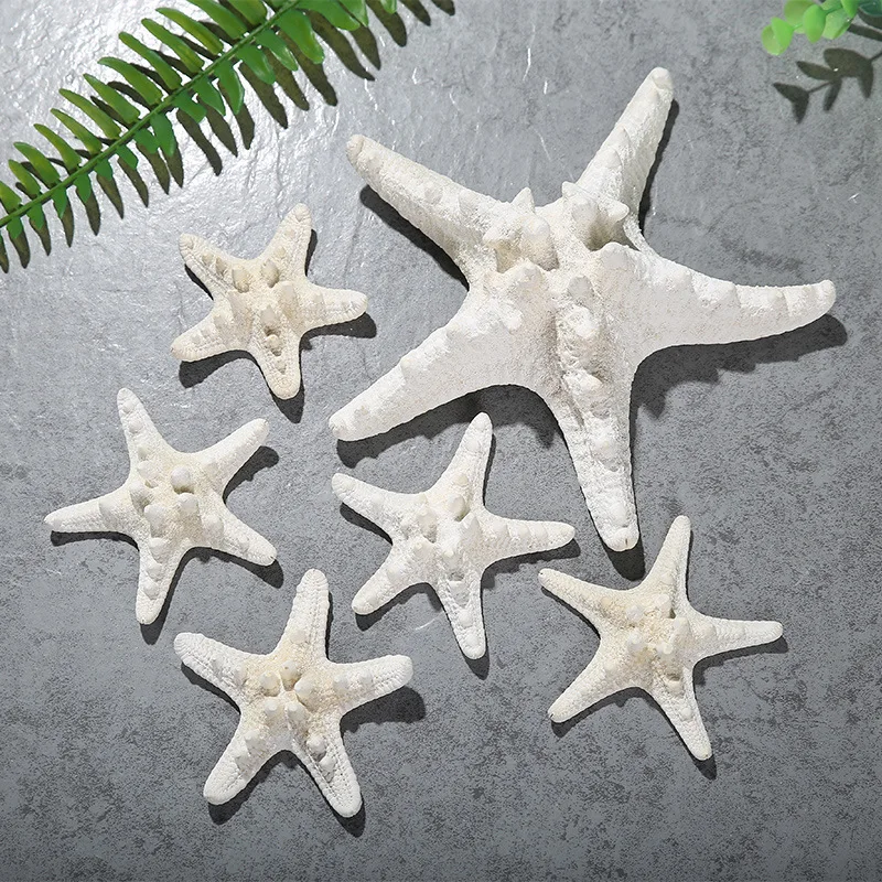 white Sea shells starfish Home Decor zeester decoratie pecerasy acuarios adornment furnishing specimen zeester decoratie Conchas
white Sea shells starfish Home Decor zeester decoratie pecerasy acuarios adornment furnishing specimen zeester decoratie Conchas
