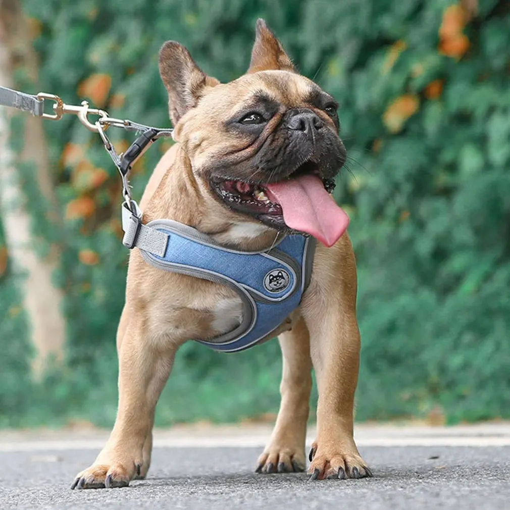 Dog Breast Strap Pet Supplies Nylon Harness All Weather Service Adjustable Vehicle Safety Ves for Pet Dogs
Dog Breast Strap Pet Supplies Nylon Harness All Weather Service Adjustable Vehicle Safety Ves for Pet Dogs