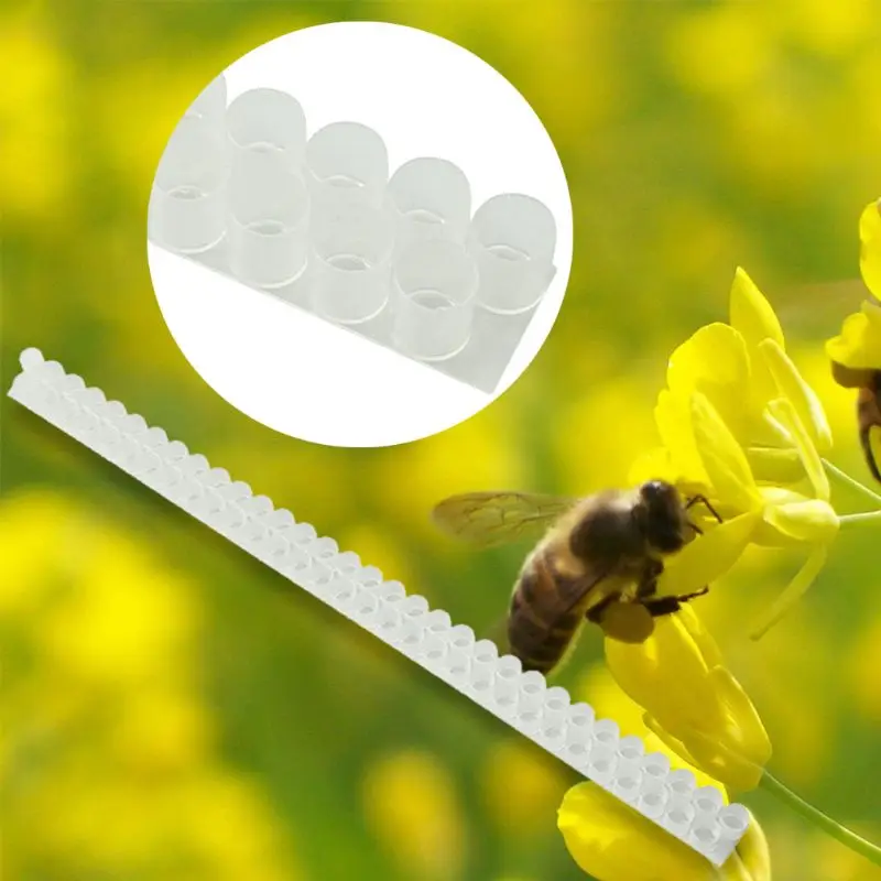 5 Pcs Apiculture Equipment Strip Beekeeping Tool Double Row Beehive Garden Supplies Durable Useful Plastic Queen Bee Device
5 Pcs Apiculture Equipment Strip Beekeeping Tool Double Row Beehive Garden Supplies Durable Useful Plastic Queen Bee Device