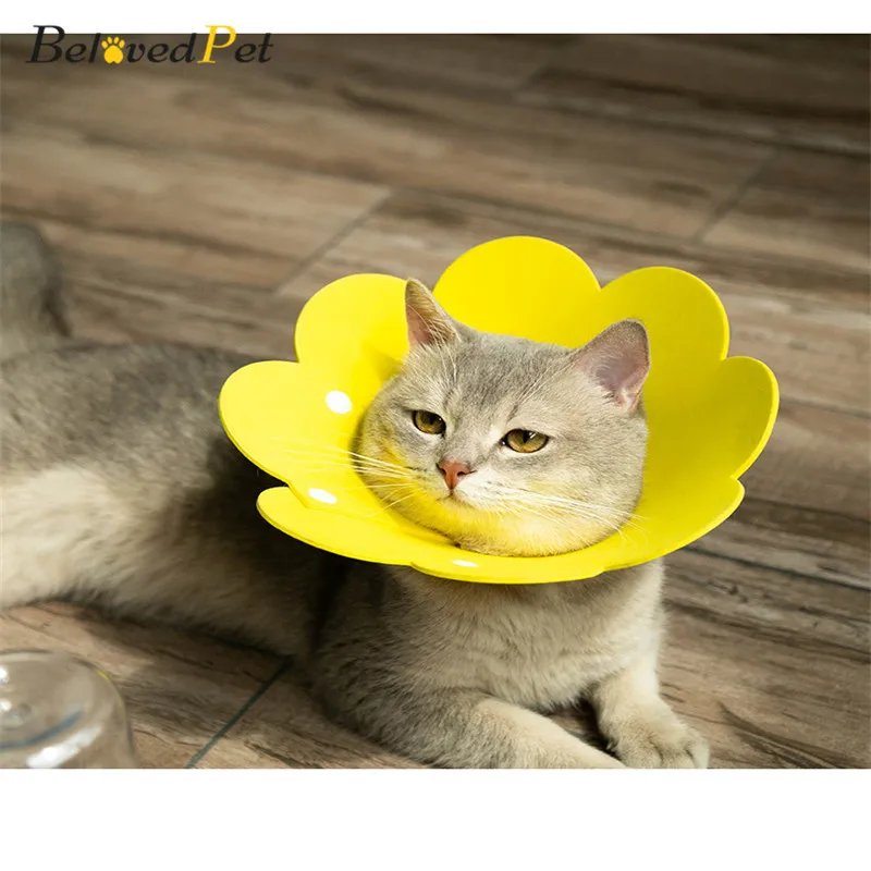 Cat Collar Sun Flower Shape Cat Puppy Neck Protective Circle Collar Anti Bite Anti Grasping Anti Licking Elizabethan Neck Ring
Cat Collar Sun Flower Shape Cat Puppy Neck Protective Circle Collar Anti Bite Anti Grasping Anti Licking Elizabethan Neck Ring