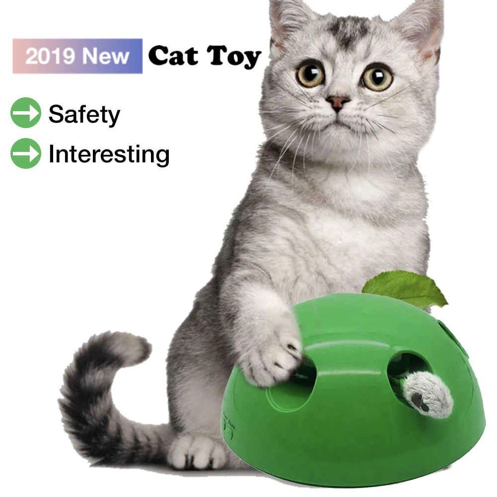 Cat Toy Funny Carnival Game For Kitty Pet Includes Interchangeable Mouse & Feather Happy Pet Supplies
Cat Toy Funny Carnival Game For Kitty Pet Includes Interchangeable Mouse & Feather Happy Pet Supplies