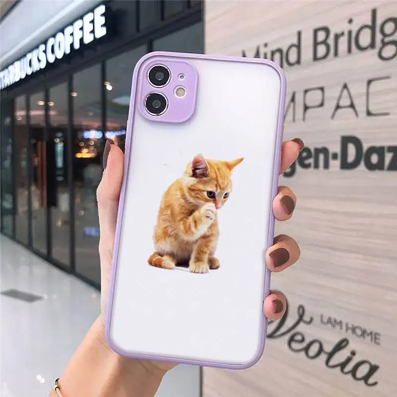 cat Phone Cases matte transparent For purple iPhone 7 8 x xs xr 11 12 pro plus max mini Clear Funda
cat Phone Cases matte transparent For purple iPhone 7 8 x xs xr 11 12 pro plus max mini Clear Funda