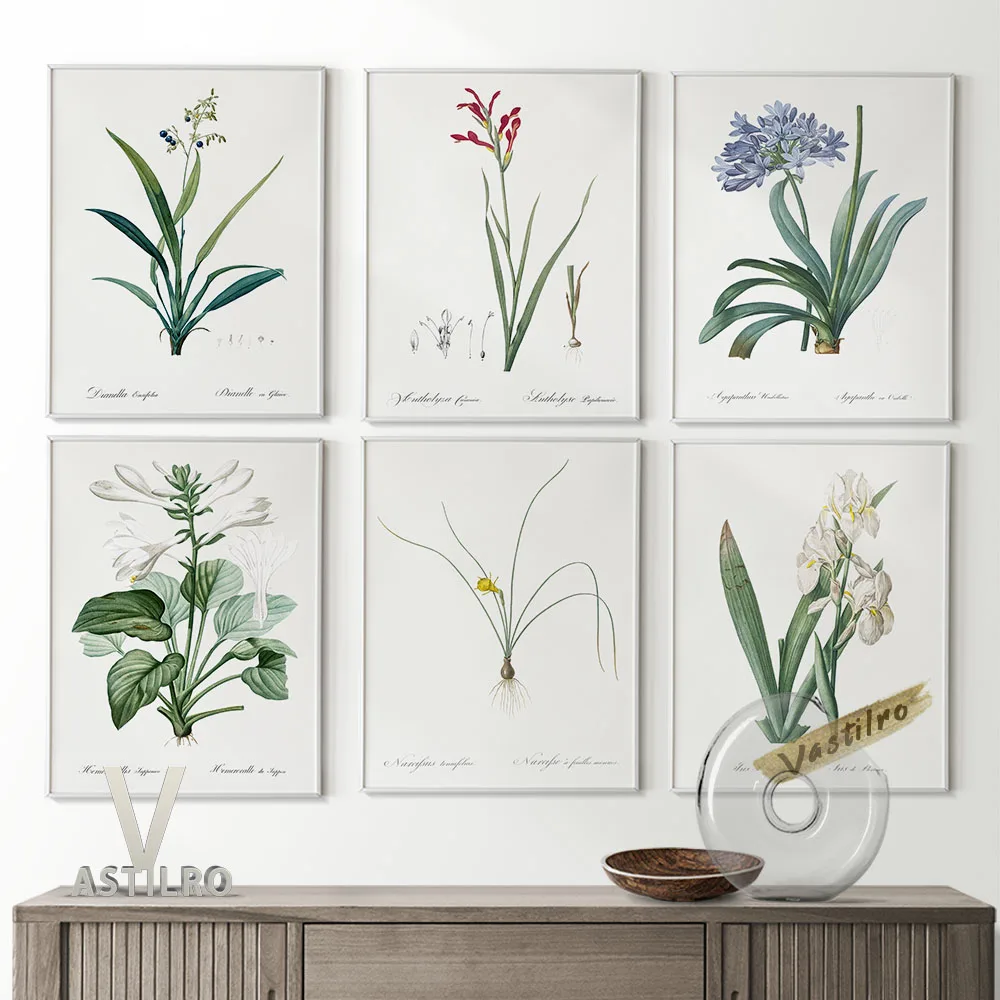 Botany Art Identification Chart Poster Wild Flower Prints Greenery Branches Leaves Canvas Painting Wall Decor Nature Lover Gift
Botany Art Identification Chart Poster Wild Flower Prints Greenery Branches Leaves Canvas Painting Wall Decor Nature Lover Gift