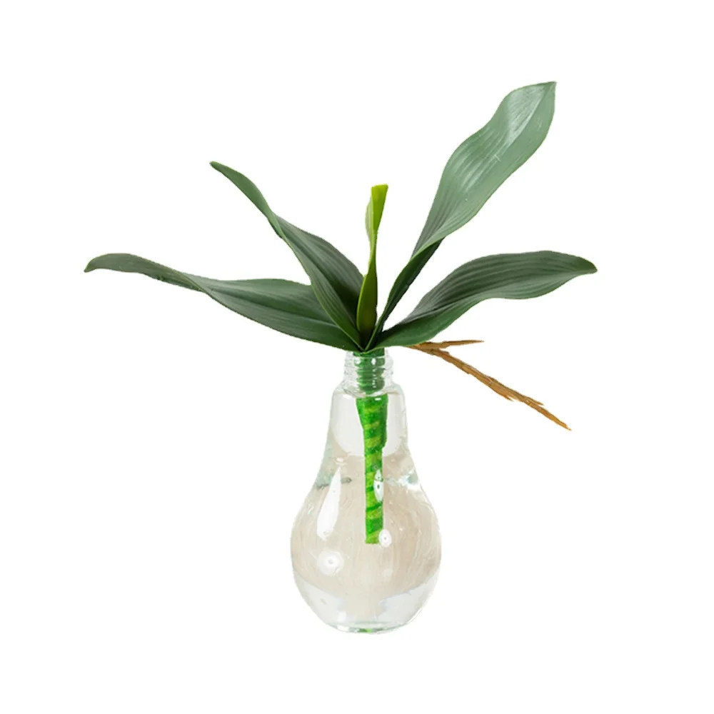 New Simulation Green Plant Butterfly Orchid Leaf Flower Arrangement Home Living Room Hotel Restaurant Display Wedding Decoration
New Simulation Green Plant Butterfly Orchid Leaf Flower Arrangement Home Living Room Hotel Restaurant Display Wedding Decoration