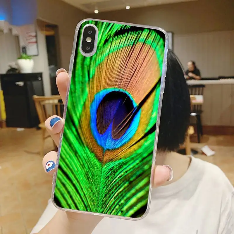 blue green peacock feathers Phone Case Transparent for iPhone 6 7 8 11 12 s mini pro X XS XR MAX Plus
blue green peacock feathers Phone Case Transparent for iPhone 6 7 8 11 12 s mini pro X XS XR MAX Plus
