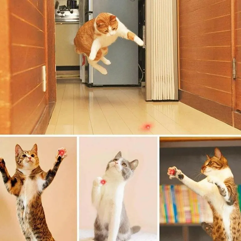 1pc Multi-pattern Function Mini Cat Toy Pen Pointer Led Torch Light Flashlight Beam Light Pointer For Cat Interactive Game
1pc Multi-pattern Function Mini Cat Toy Pen Pointer Led Torch Light Flashlight Beam Light Pointer For Cat Interactive Game