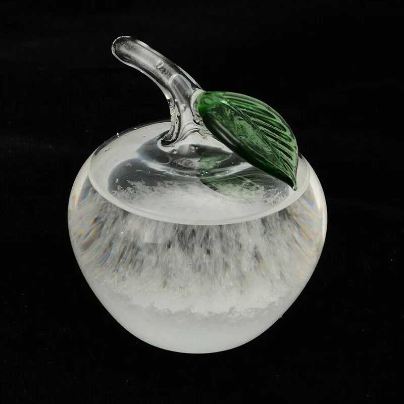 Weather Forecast Glass Water Bottle Base Christmas Table Decoration for Home Office H99F
Weather Forecast Glass Water Bottle Base Christmas Table Decoration for Home Office H99F