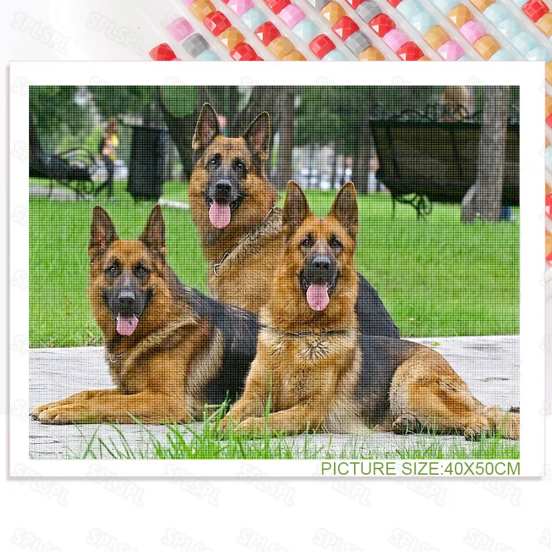 Diy Diamond Painting Pet Dog Modern Children's Bedroom Warm Decoration Painting Cute Puppy Modern Home Hanging Painting
Diy Diamond Painting Pet Dog Modern Children's Bedroom Warm Decoration Painting Cute Puppy Modern Home Hanging Painting
