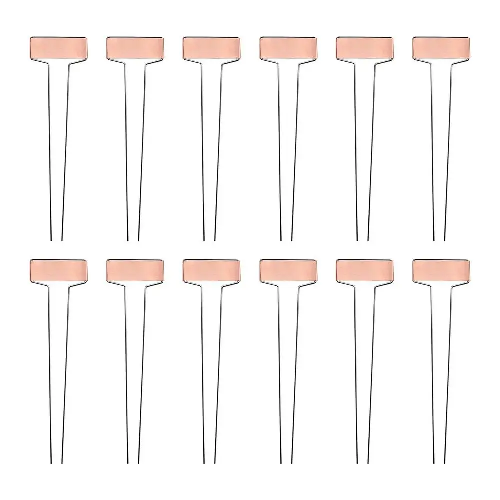 Copper Garden Labels Plant Markers Nursery Tags Waterproof Durable Reusable T-Shape Planting Gardening Markers For Flowerbed
Copper Garden Labels Plant Markers Nursery Tags Waterproof Durable Reusable T-Shape Planting Gardening Markers For Flowerbed