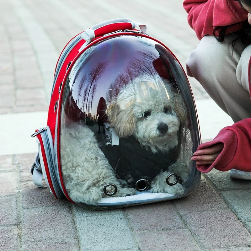 Expandable Cat Bag Transparent PVC Dogs Bag Cat Backpack Folding Kitten Puppy Bag Capsule out Portable Case Pet Supplies
Expandable Cat Bag Transparent PVC Dogs Bag Cat Backpack Folding Kitten Puppy Bag Capsule out Portable Case Pet Supplies