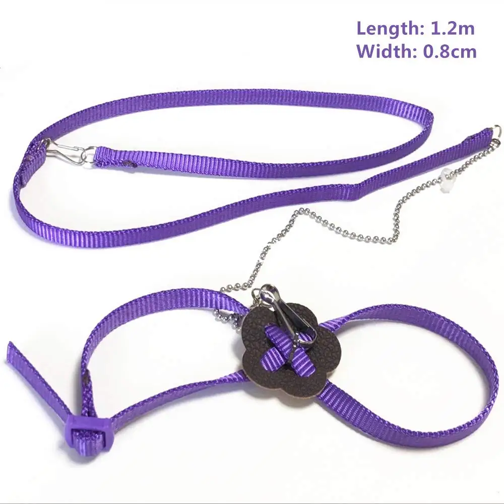 Adjustable Reptile Lizard Harness Leash Multi Color Light Soft Fashion Hauling Cable Rope Pet Small Animal Pet Supplies
Adjustable Reptile Lizard Harness Leash Multi Color Light Soft Fashion Hauling Cable Rope Pet Small Animal Pet Supplies