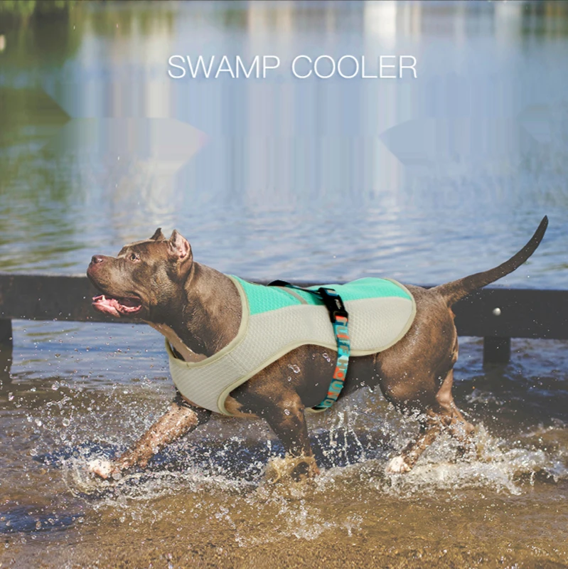 Tuff Hound Pet Cool Clothes Summer Dog Cool Clothes Summer Heat Vest New Products
Tuff Hound Pet Cool Clothes Summer Dog Cool Clothes Summer Heat Vest New Products