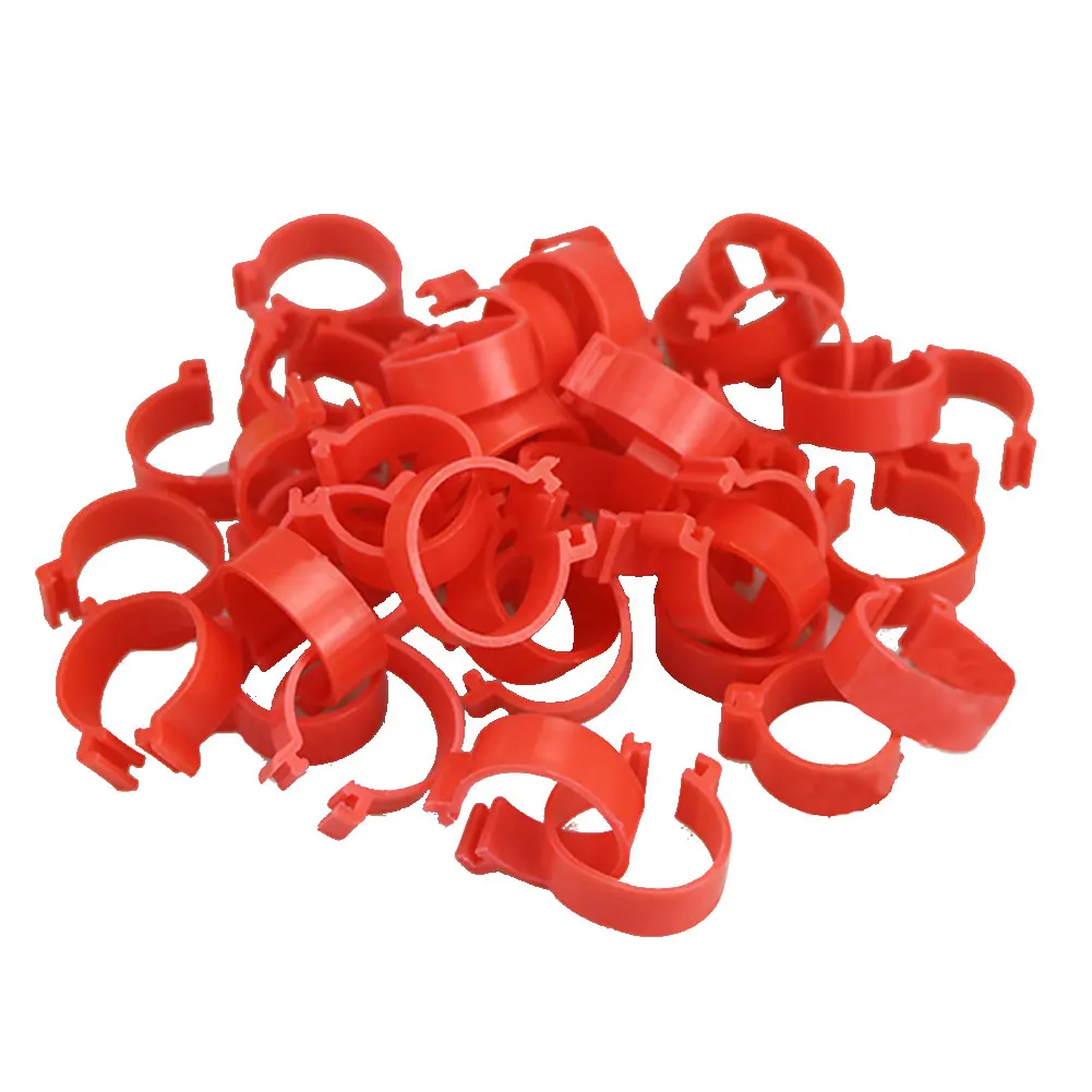 100 Pcs Chicken Leg Bands 20 Mm Chicken Poultry Rings 3 Colors Pigeon Geese Quail Bird Ring Carry Tools Feeding Number Tag
100 Pcs Chicken Leg Bands 20 Mm Chicken Poultry Rings 3 Colors Pigeon Geese Quail Bird Ring Carry Tools Feeding Number Tag