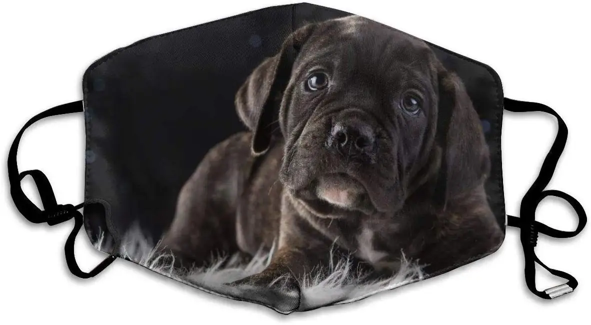 Black Dog Anti Dust Mask, Party Outdoor Cool Cotton Mouth Mask for Kids Teens Men Women with Adjustable Ear Loops
Black Dog Anti Dust Mask, Party Outdoor Cool Cotton Mouth Mask for Kids Teens Men Women with Adjustable Ear Loops