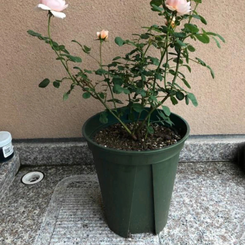 Plastic Flower Pot For planting Plant grow 12/15/18/21/24cm Plant Home Garden Decor
Plastic Flower Pot For planting Plant grow 12/15/18/21/24cm Plant Home Garden Decor