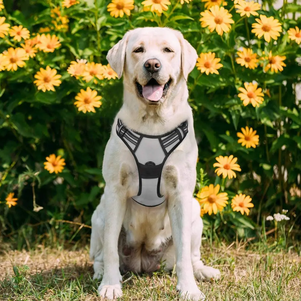 Dog Harness, No-Pull Pet Harness with 2 Leash Clips, Adjustable Soft Padded Dog Vest, Reflective No-Choke Pet with Easy Control
Dog Harness, No-Pull Pet Harness with 2 Leash Clips, Adjustable Soft Padded Dog Vest, Reflective No-Choke Pet with Easy Control