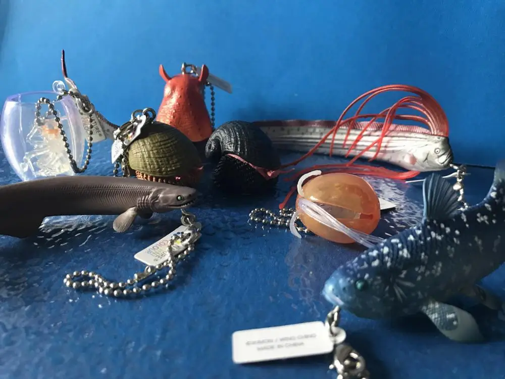 Модель игрушечной фигурки из ПВХ, глубоководное существо, улитка, рыба, улитка, 8 шт./компл., редкая
Модель игрушечной фигурки из ПВХ, глубоководное существо, улитка, рыба, улитка, 8 шт./компл., редкая