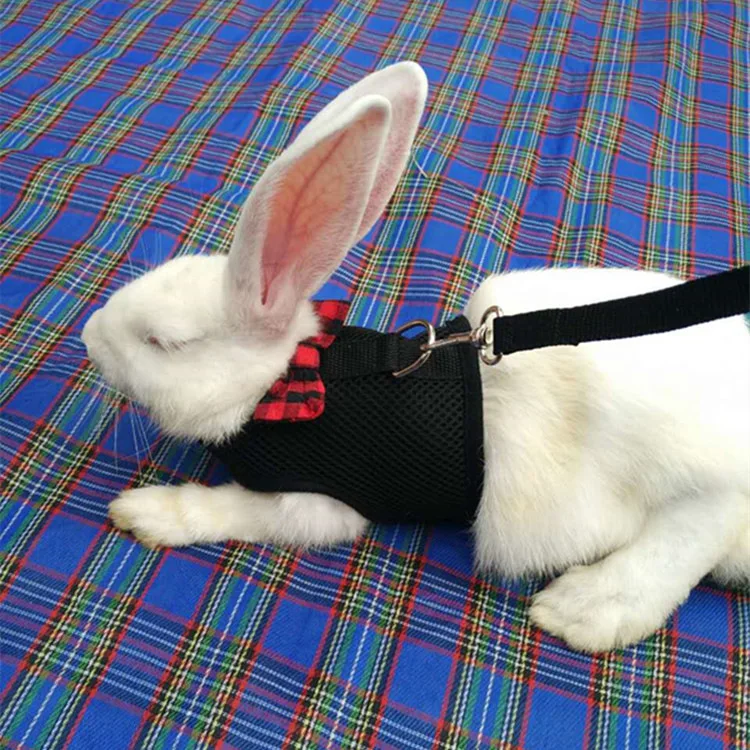 Pet Mesh Soft Harness With Leash Animal Vest Lead for Hamster Rabbit Bunny Small Animal Belt Lead mascotas Pet Accessories
Pet Mesh Soft Harness With Leash Animal Vest Lead for Hamster Rabbit Bunny Small Animal Belt Lead mascotas Pet Accessories