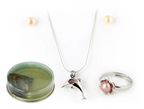 Oyster Shell Pearl
Oyster Shell Pearl