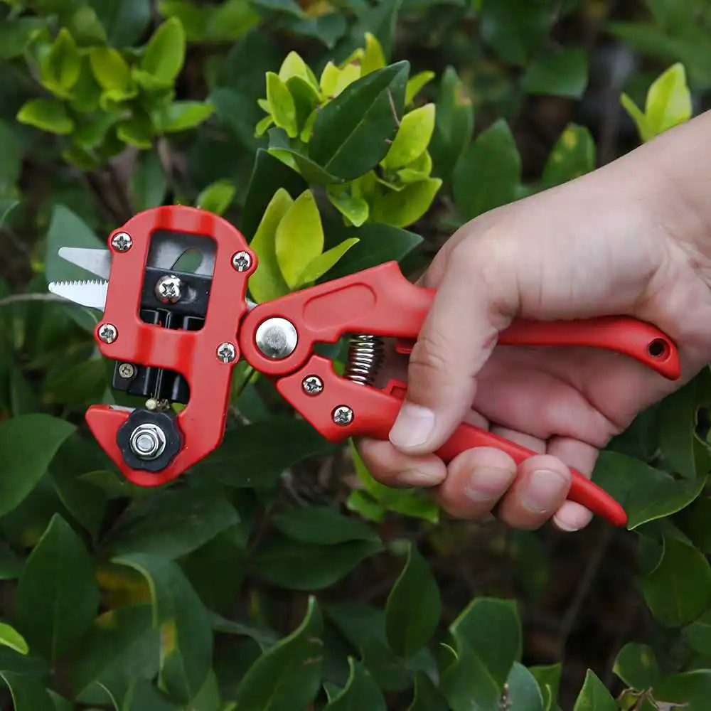 Fruit Tree grape Nursery Secateurs Grafting Machine Garden Tools Garden vine pruning branch Cutter floristry Seedle Shear plant
Fruit Tree grape Nursery Secateurs Grafting Machine Garden Tools Garden vine pruning branch Cutter floristry Seedle Shear plant