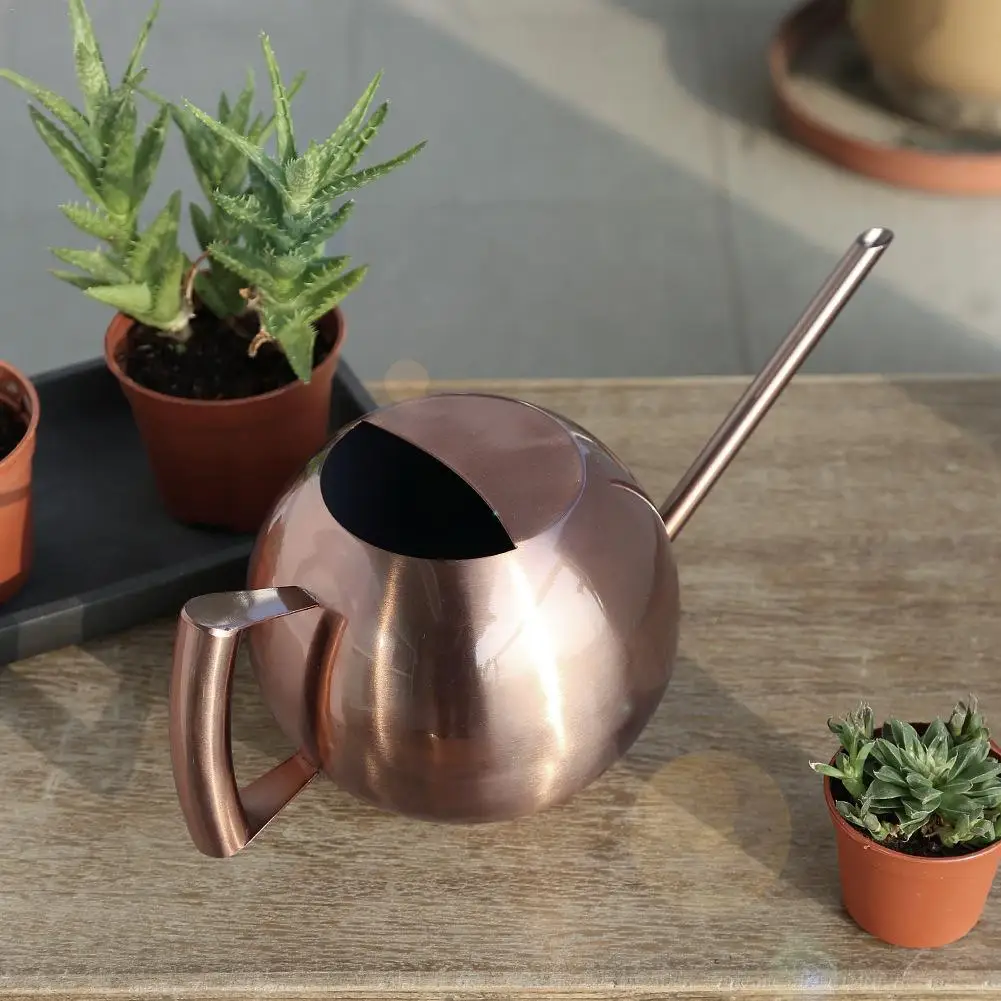 European Stainless Steel Long Mouth 400ml Watering Can Gardening Watering Kettle Indoor Succulent Potted Plants Watering Pot
European Stainless Steel Long Mouth 400ml Watering Can Gardening Watering Kettle Indoor Succulent Potted Plants Watering Pot