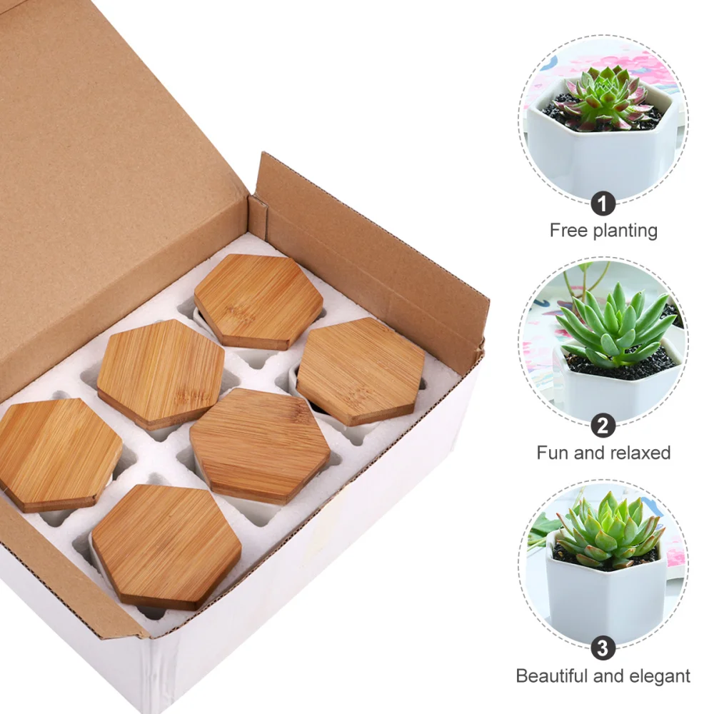 12 Pcs in 1 Set Succulent Plant Pots Mini Succulent Planter Ceramic Flower Planter Pot with Bamboo Trays (6 Pots and 6 Trays, Wh
12 Pcs in 1 Set Succulent Plant Pots Mini Succulent Planter Ceramic Flower Planter Pot with Bamboo Trays (6 Pots and 6 Trays, Wh