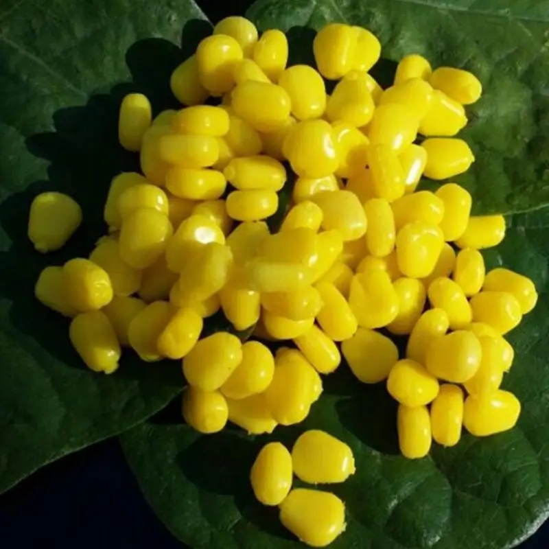 50pcs Corn Fake Fishing Lure Silicone Bait Soft Plastic For Fishing Tackle Floating Accessories Bait Lures O2W8 
50pcs Corn Fake Fishing Lure Silicone Bait Soft Plastic For Fishing Tackle Floating Accessories Bait Lures O2W8