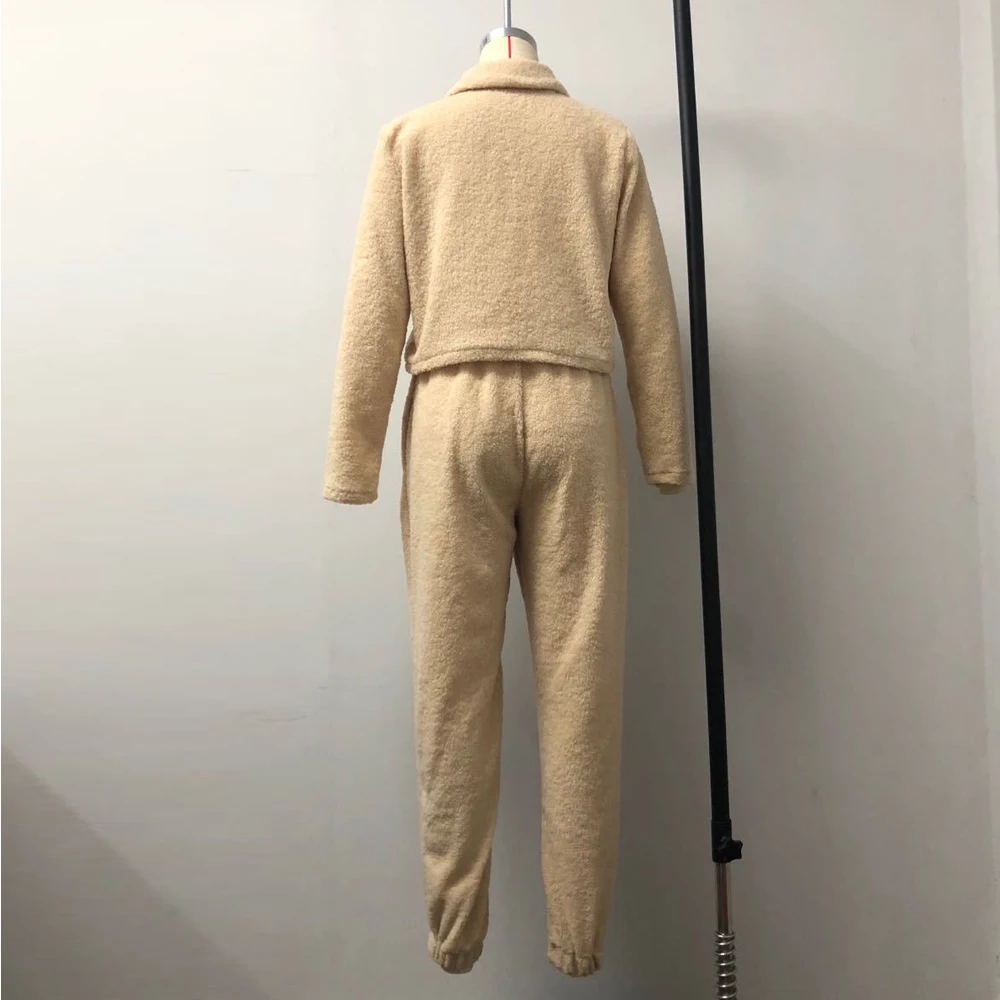 Cashmere Warm Thick Two Piece Sets Autumn Winter Clothes for Women Turn Down Collar Long Sleeve Jackets and Straight Pant Outfit
Cashmere Warm Thick Two Piece Sets Autumn Winter Clothes for Women Turn Down Collar Long Sleeve Jackets and Straight Pant Outfit
