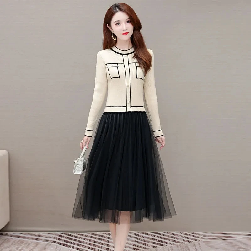 Fake Two Piece Patchwork Dress For Women Party Spring Autumn Vintage Long Sleeve Knitted Dress Elegant Spliced Mesh Midi Dresses
Fake Two Piece Patchwork Dress For Women Party Spring Autumn Vintage Long Sleeve Knitted Dress Elegant Spliced Mesh Midi Dresses