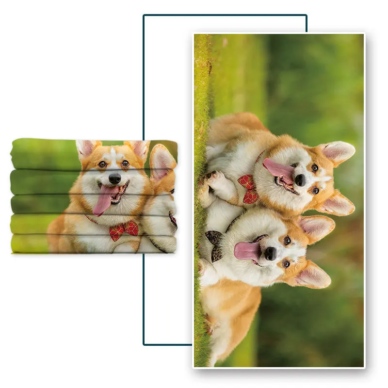 Microfine Double-Sided Fleece Absorbent Bath Towel For Outdoor Swimming With Customizable Patterns
Microfine Double-Sided Fleece Absorbent Bath Towel For Outdoor Swimming With Customizable Patterns