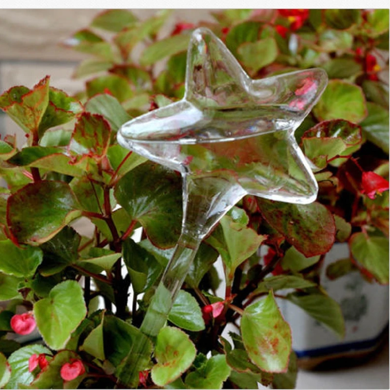 Glass Plant Flowers Water Feeder Self Watering Bird Design Plant Waterer Automatic Self Watering Device Glass Water Feeder
Glass Plant Flowers Water Feeder Self Watering Bird Design Plant Waterer Automatic Self Watering Device Glass Water Feeder