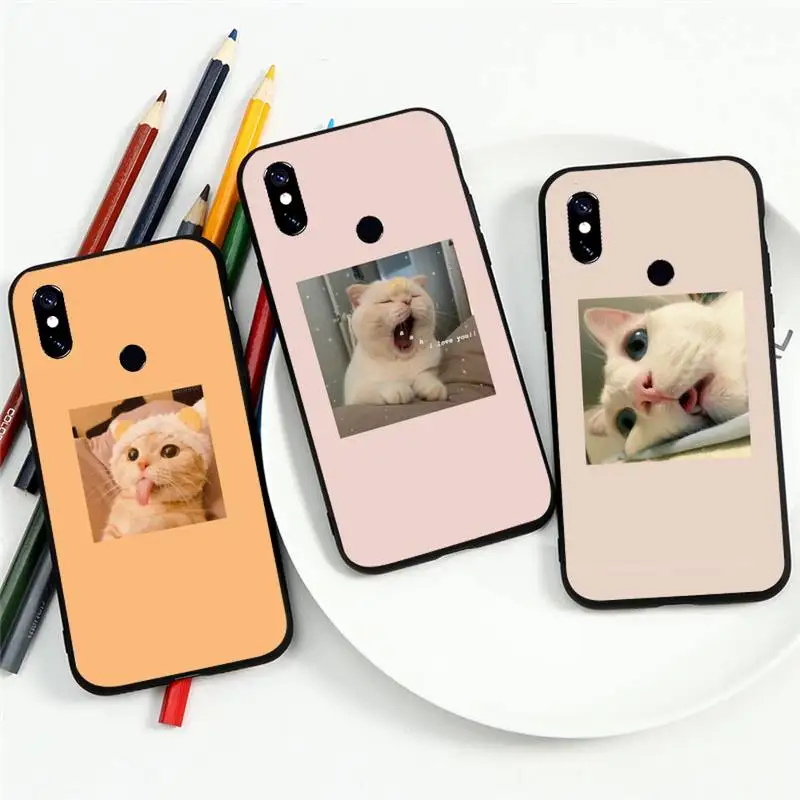 Cute cat Pink Aesthetic Phone Case For Xiaomi Redmi note 7 8 9 11 t s 10 A pro lite funda shell coque cover
Cute cat Pink Aesthetic Phone Case For Xiaomi Redmi note 7 8 9 11 t s 10 A pro lite funda shell coque cover