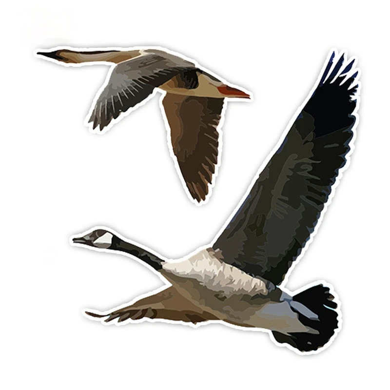 3D Interesting Interesting Animal Flying Geese Car-Stickers Car Styling Decoration Door Body Window Vinyl Auto Sticker Kk16*15cm
3D Interesting Interesting Animal Flying Geese Car-Stickers Car Styling Decoration Door Body Window Vinyl Auto Sticker Kk16*15cm