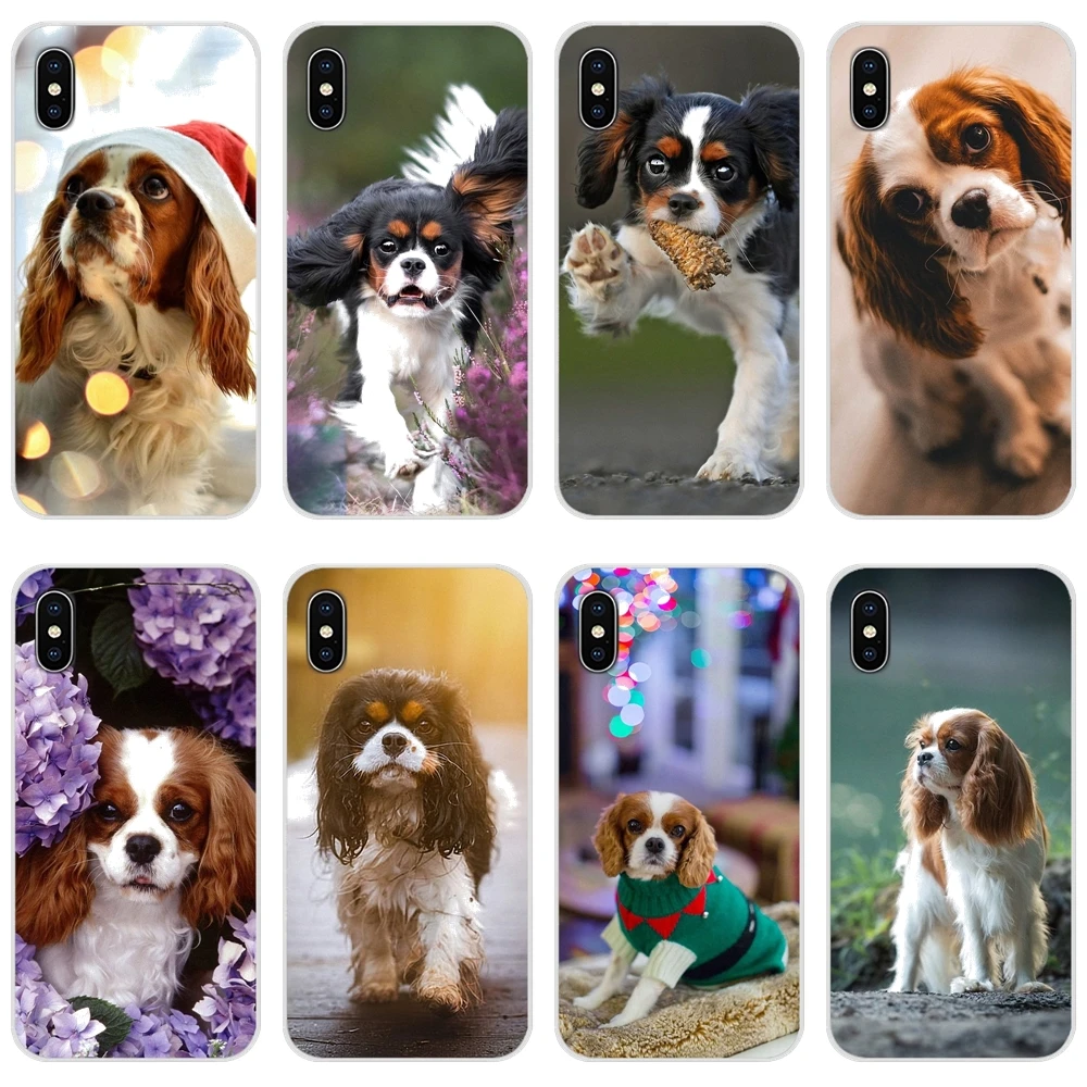 Чехлы для телефонов Samsung Galaxy Note 8 9 10 20 S7 Edge S8 S9 S10E S20 Lite Plus Ultra Cavalier King Charles | Мобильные
