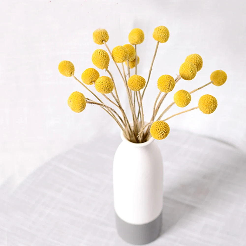 20pcs dried natural flower bouquets dried Craspedia flower bouquets&golden ball flower bunches
20pcs dried natural flower bouquets dried Craspedia flower bouquets&golden ball flower bunches