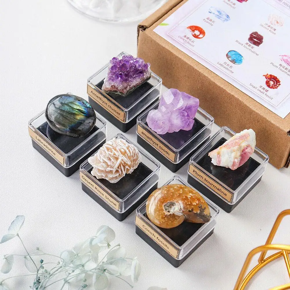 1Pc Natural Crystal Stone Ore Amethyst Cluster Energy Box Fossil Specimen Collection For Children's Teaching Gifts
1Pc Natural Crystal Stone Ore Amethyst Cluster Energy Box Fossil Specimen Collection For Children's Teaching Gifts