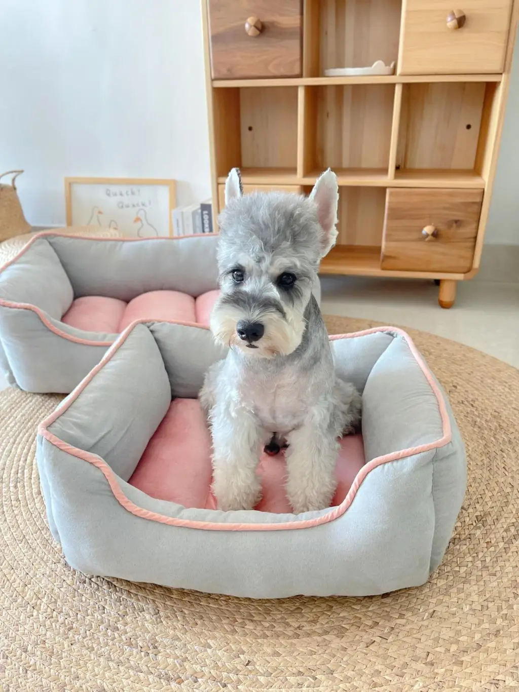 INS Pet Dog Bed Sofa Thickened Square Mats Nest For Small Medium Large Dog Mats Cushion Pet Bed Universal Cat Pet House Supplies
INS Pet Dog Bed Sofa Thickened Square Mats Nest For Small Medium Large Dog Mats Cushion Pet Bed Universal Cat Pet House Supplies