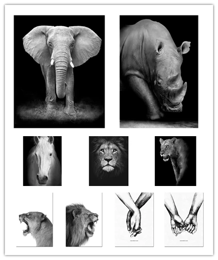 Diamond Painting Animal Wall Art Black White Lion Elephant Deer Zebra Pictures Mosaic Cross Stitch Kit Home Decoration Gifts
Diamond Painting Animal Wall Art Black White Lion Elephant Deer Zebra Pictures Mosaic Cross Stitch Kit Home Decoration Gifts